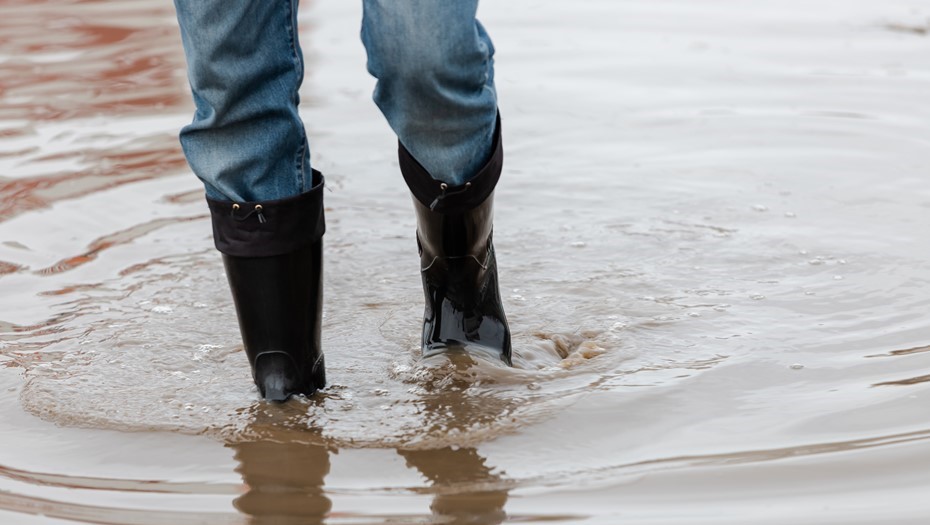 В деревне Ленобласти 11 января подтопило приусадебные участки