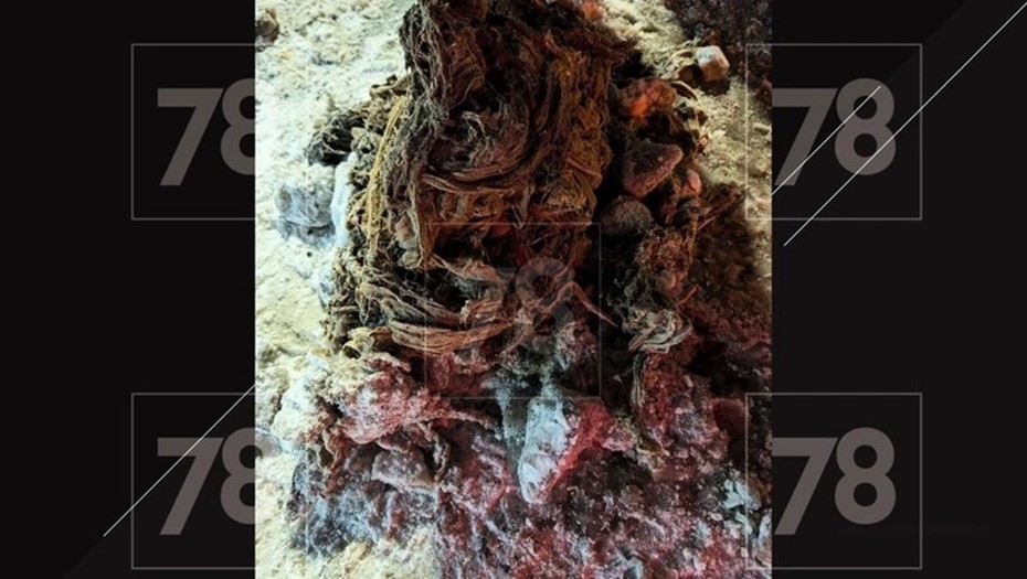 В доме на Арцеуловской аллее 11 января произошла ещё одна коммунальная авария В доме на Арцеуловской аллее 11 января произошла ещё одна коммунальная авария