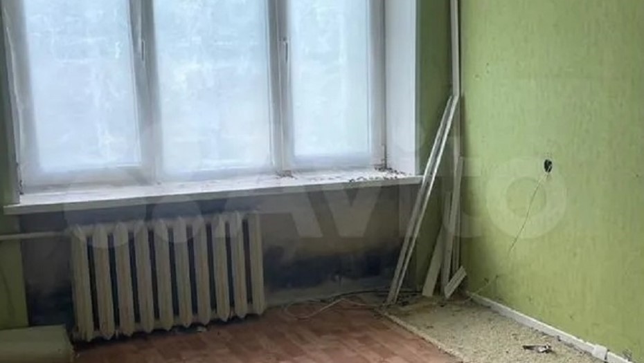 Квартира в Парголово