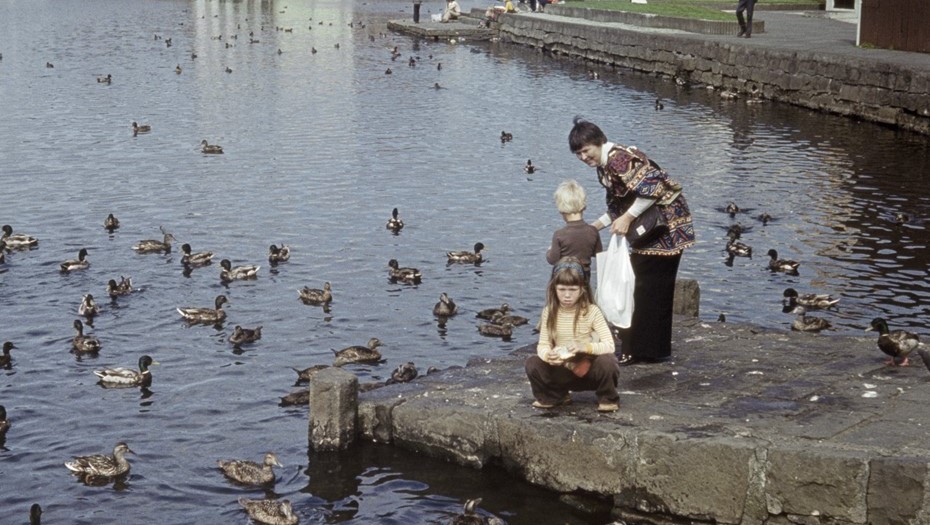 Кормление уток.