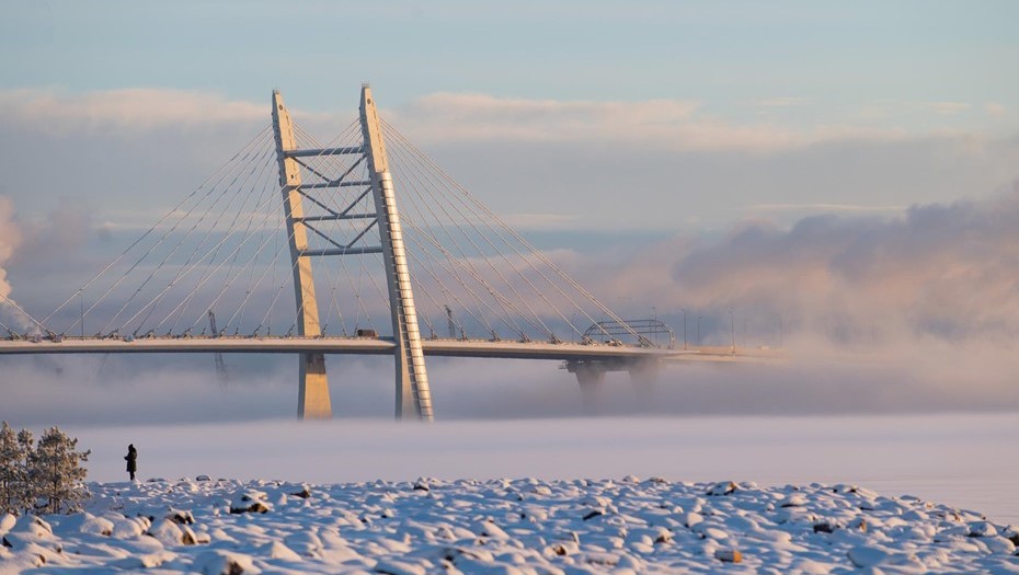 Последняя неделя января в Петербурге выдастся морозной 