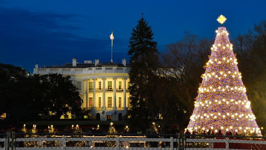 В Белом Доме опровергли слухи по Украине в газете Financial Times