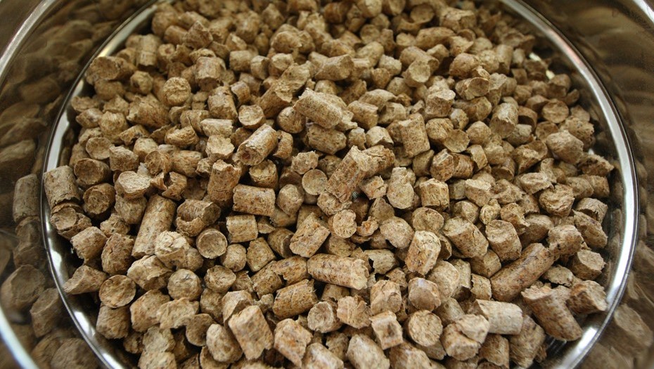 Древесные топливные гранулы (пеллеты). Древесные топливные гранулы (пеллеты).