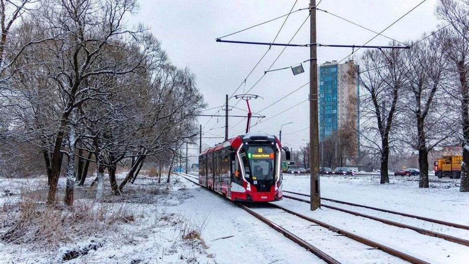 Петербург получил 111 новых современных трамваев 