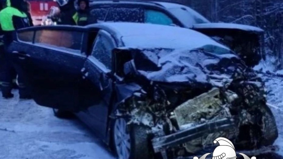 На трассе "Кола" в Ленобласти 30 января произошло смертельное ДТП