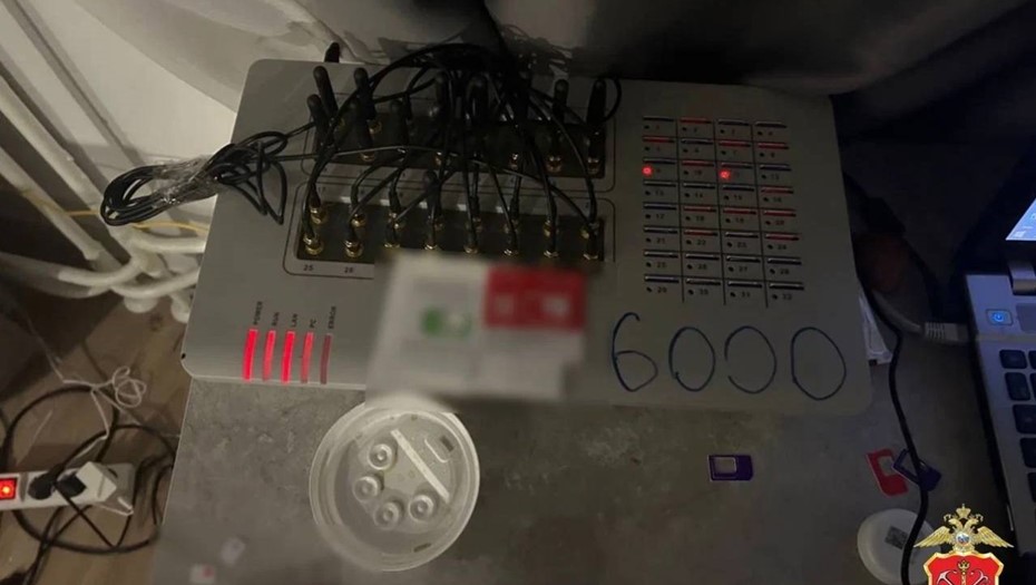 В Мурино задержали помощников украинских мошенников 