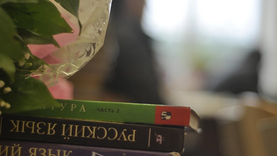 Учебники по русскому языку и русской литературе. Иллюстрация.