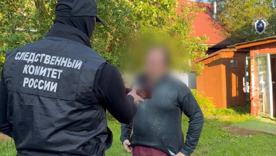 В Петербурге лишили свободы врача-онколога за комментарии в Сети 