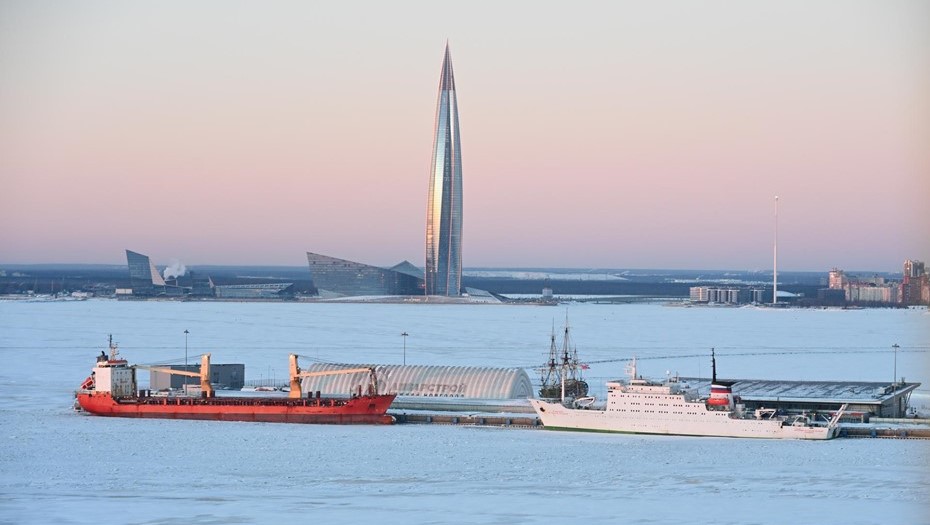 Между Петербургом и Бразилией могут запустить прямую контейнерную линию 