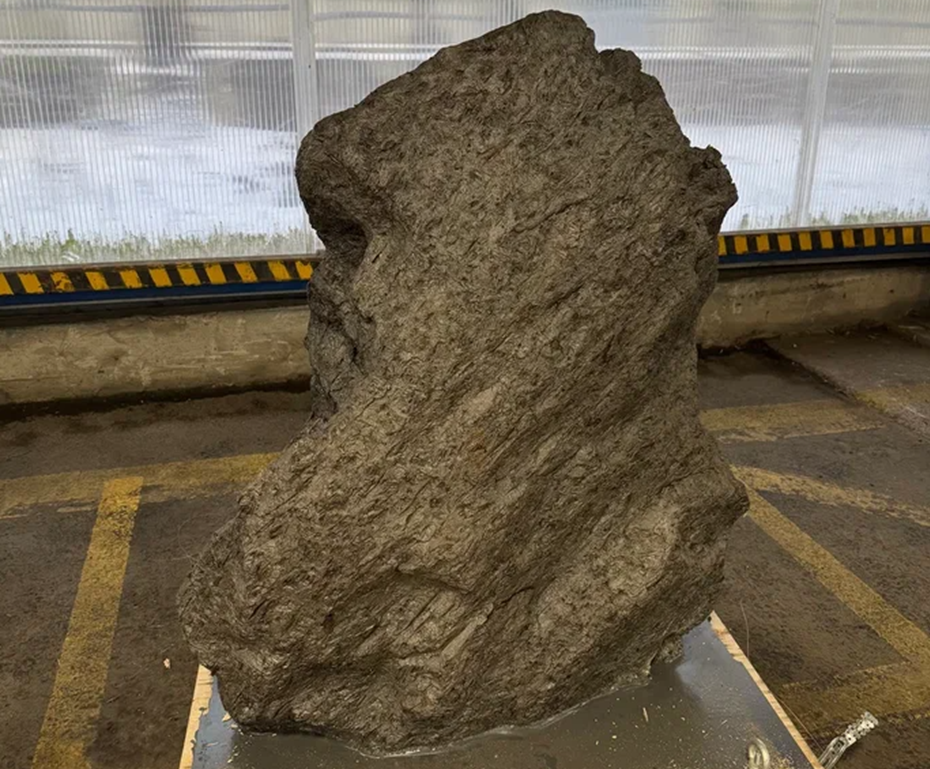 Метеорит Алетай вывез из Белоруссии через Петербург бизнесмен Алексей Воронецкий