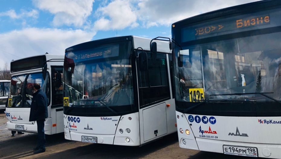 Автобусы перевозчика ООО "Пальмира"