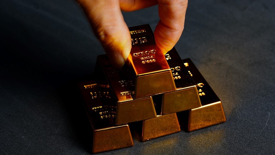 В Петербурге предложили разграничить функции ЗакСа и Смольного в сфере оборота драгметаллов