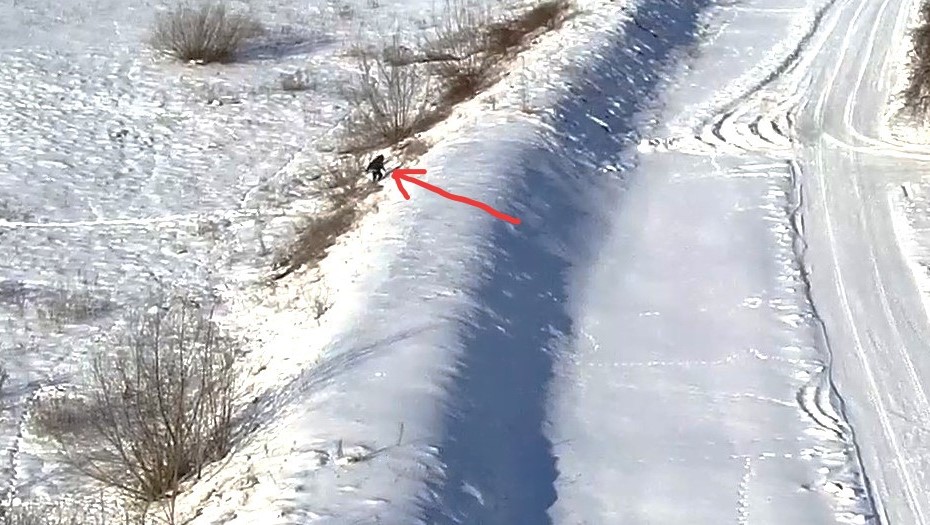 Нарушителя границы зафиксировали камеры видеонаблюдения.