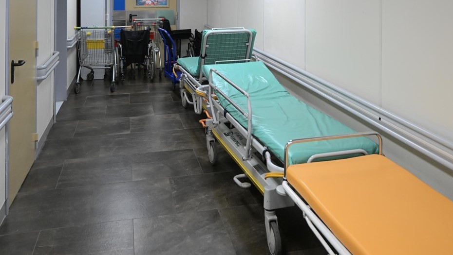 В Петербурге выявили два случая заболевания оспой обезьян