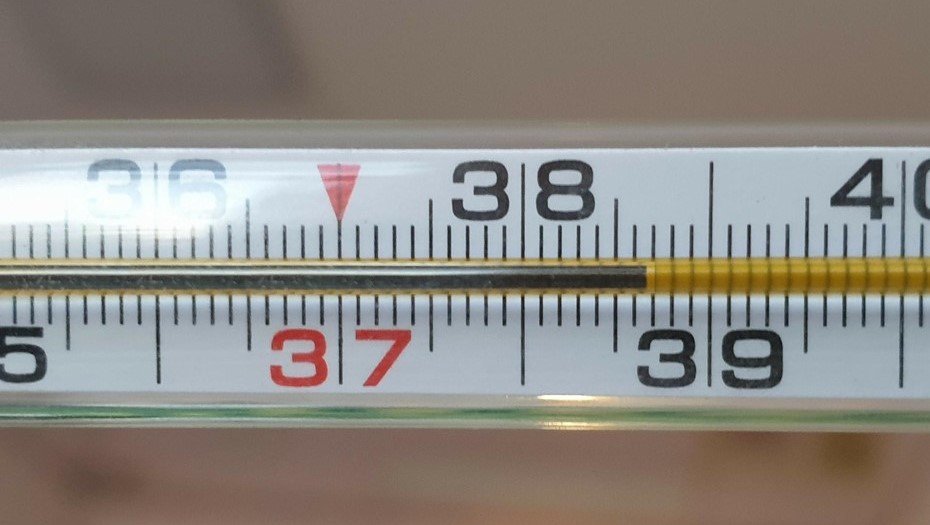 Петербуржцы, заболевшие оспой обезьян, вернулись из Таиланда