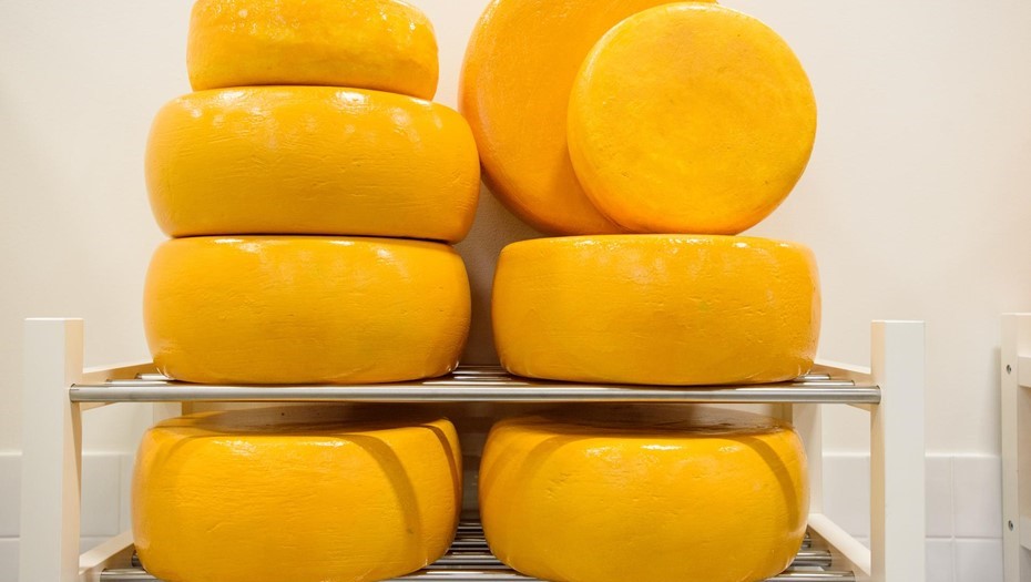 Продукция сырного завода.