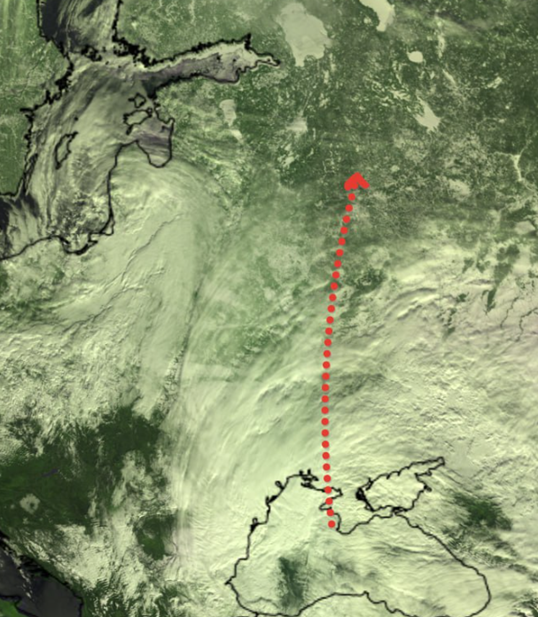 Движение циклона WALLY V к Петербургу