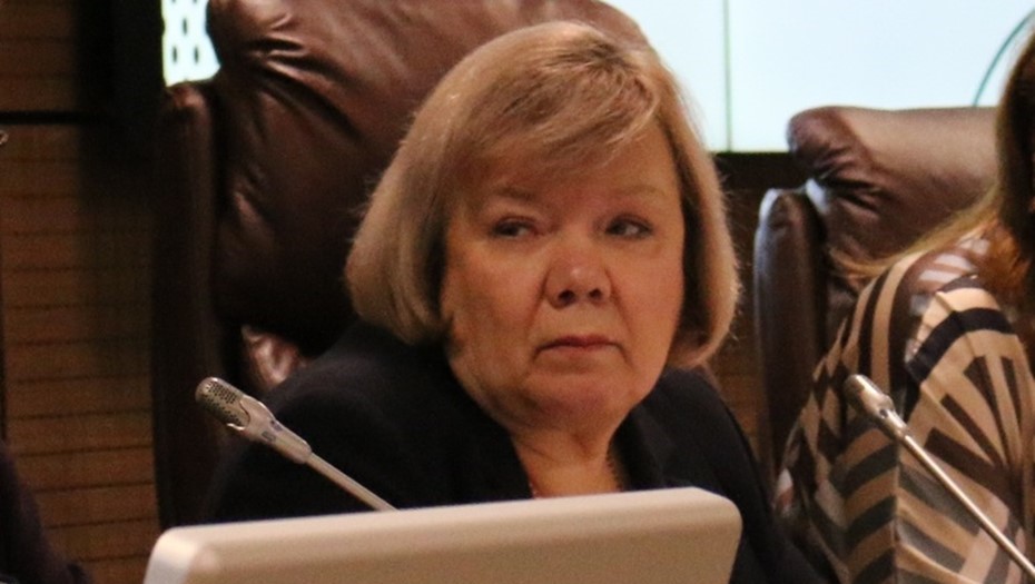 Врио главы комитета по госзаказу в Петербурге назначена Наталия Литвинова