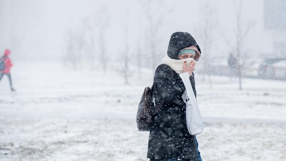 Петербуржцев предупредили о порывистом ветре 23 февраля 