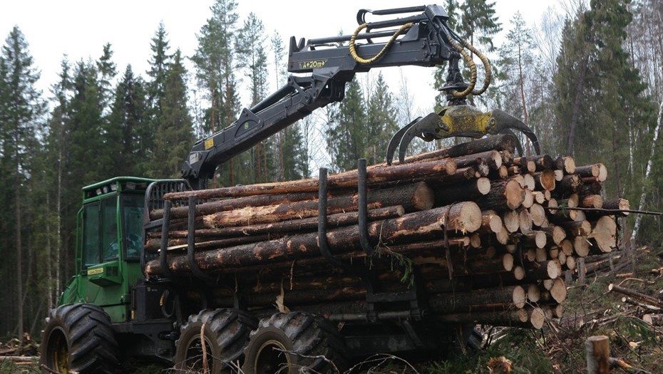 Лесная отрасль Финляндии готовится к забастовке.
