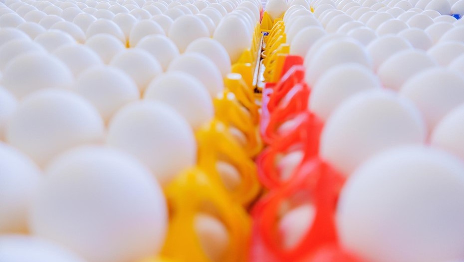 Куриные яйца.