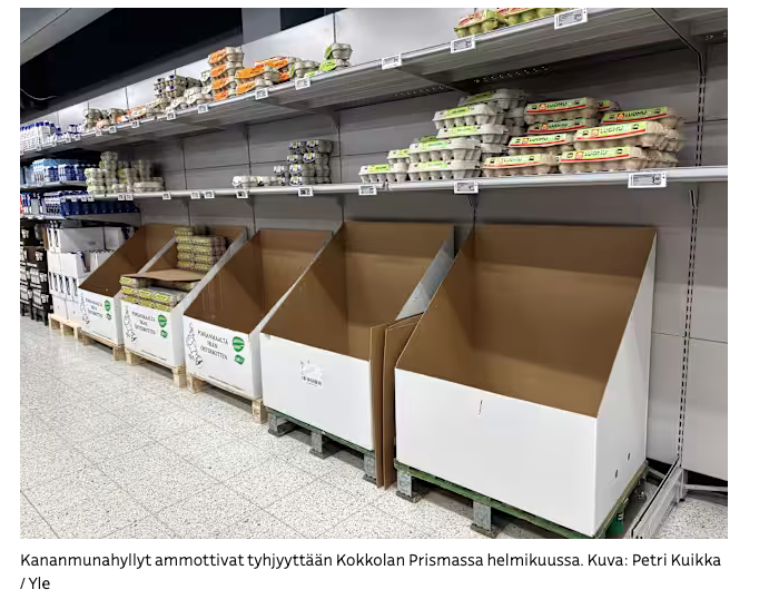 В феврале полки с яйцами зияли пустотой в магазине Prisma в Коккола (перевод с финского).