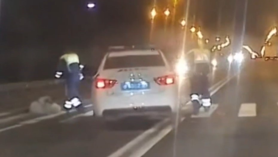 Полицейские на патрульной машине сбили женщину и ребёнка в Тосно, Бастрыкин требует доклад