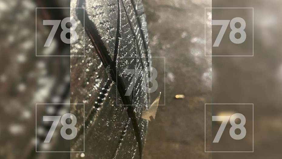 Во Всеволожском районе местные жители находят разбросанные на дорогах металлические шипы