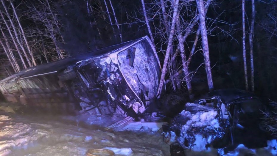 Полиция возбудила уголовное дело о нарушении ПДД после смертельного ДТП в Ленобласти