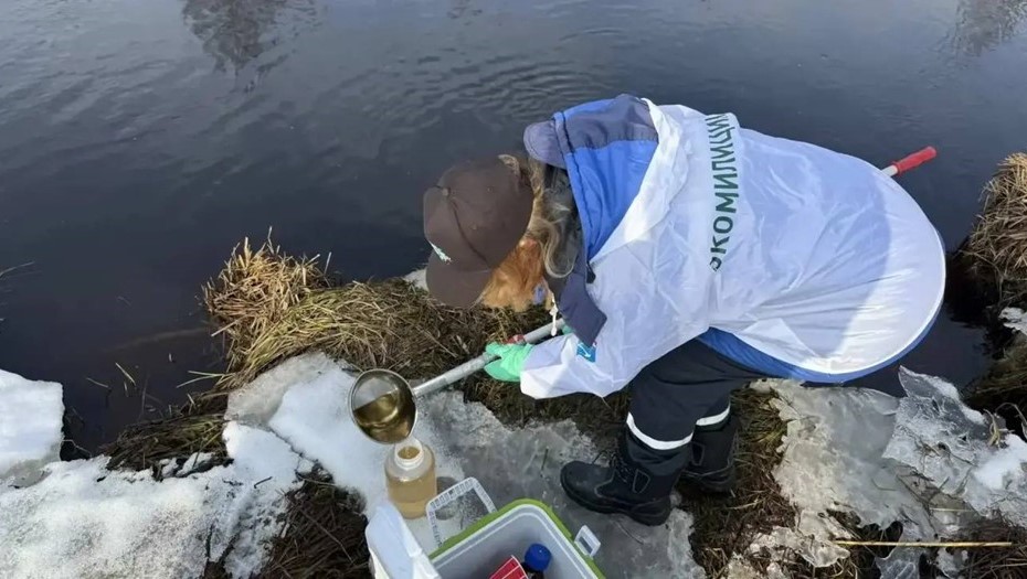 Госэконадзор Ленобласти проверяет сообщения о разливе нефтепродуктов на реке Вьюн