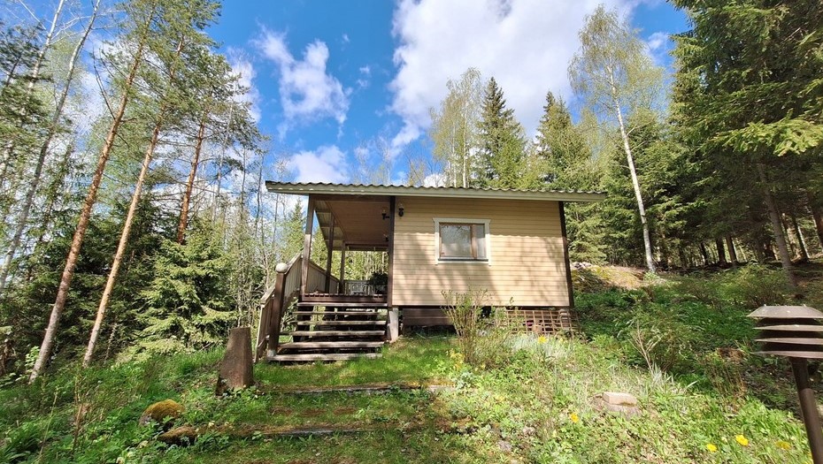 Один из летних домов, выставленных на продажу в Пункахарью, Финляндия.
