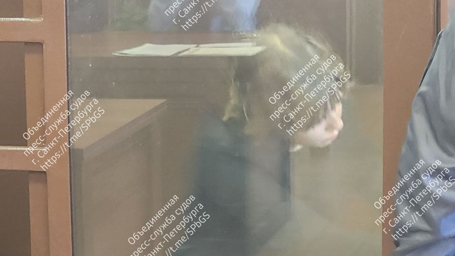 В Петербурге школьницу обвинили в пособничестве в убийстве сверстника В Петербурге школьницу обвинили в пособничестве в убийстве сверстника