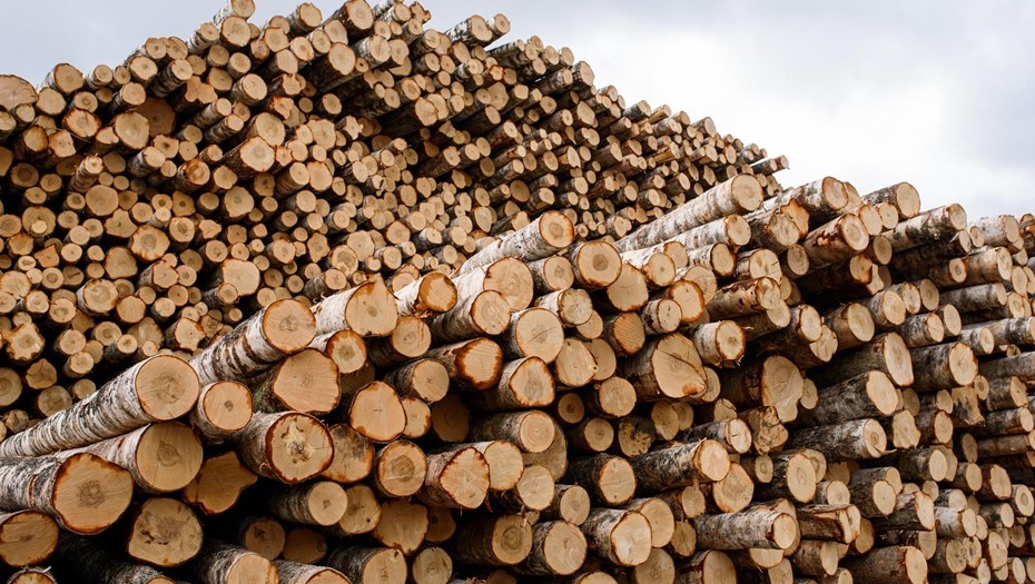 Экономическая ситуация в лесопильной промышленности Финляндии остаётся сложной. Экономическая ситуация в лесопильной промышленности Финляндии остаётся сложной.