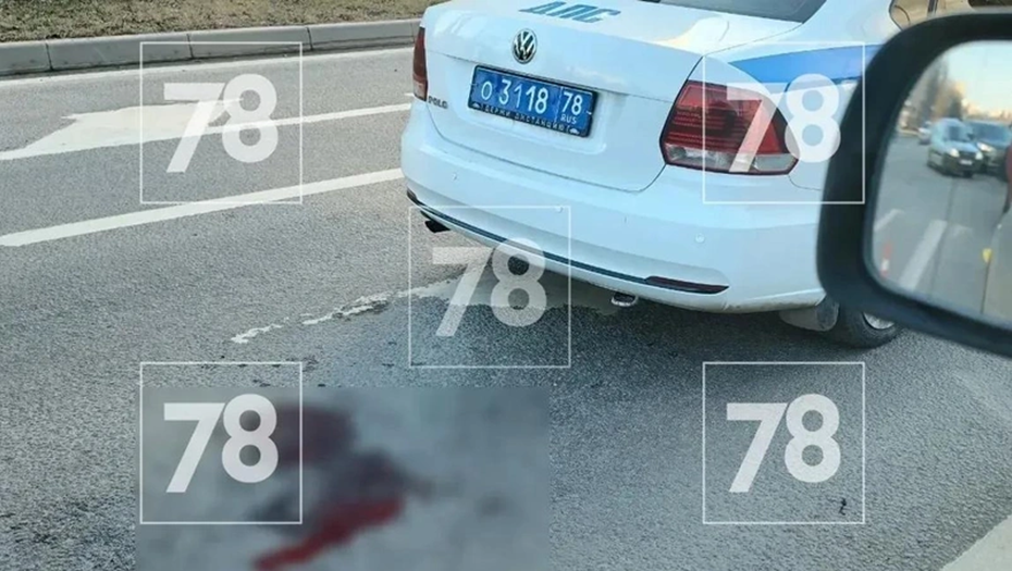 Полицейский сбил беременную в Приморском районе Петербурга