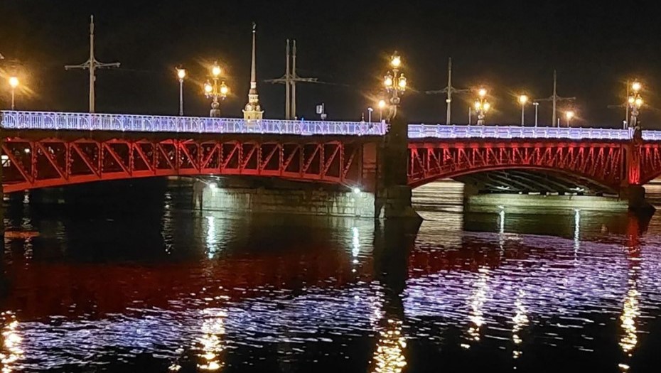 В честь 10-летия Росгвардии в Петербурге зажгут подсветку на мостах