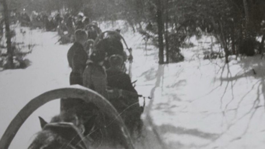 Партизанский обоз из Псковской области в Петербург, архивное фото Партизанский обоз из Псковской области в Петербург, архивное фото