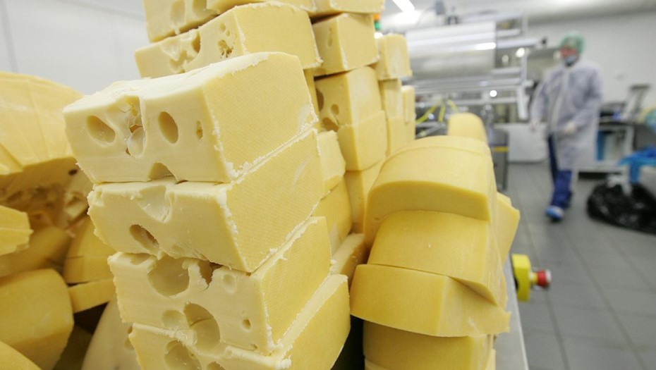 Производство сыра. Илюстрация.