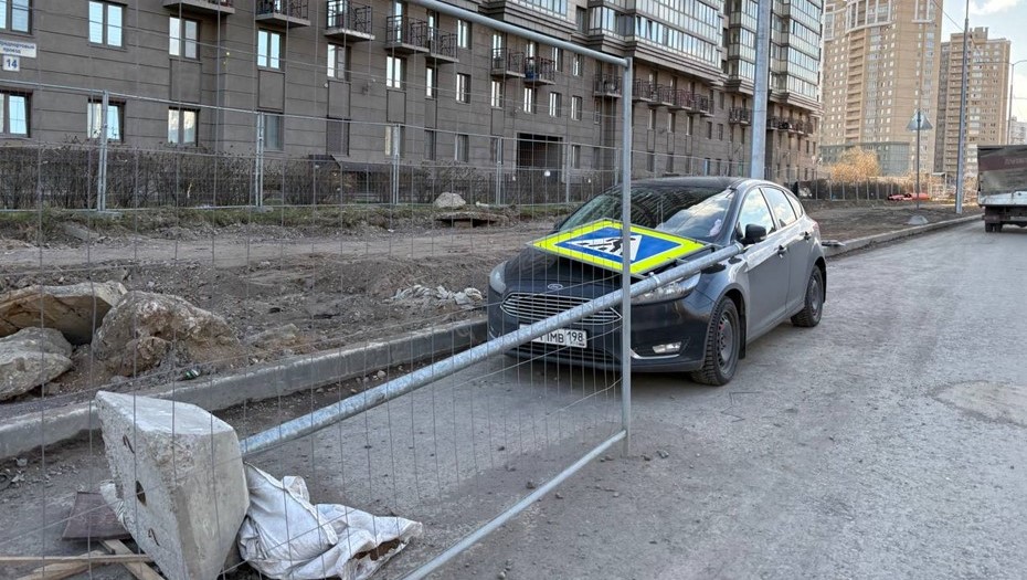 Петербуржцы жалуются на сильный ветер, который сносит указатели и деревья