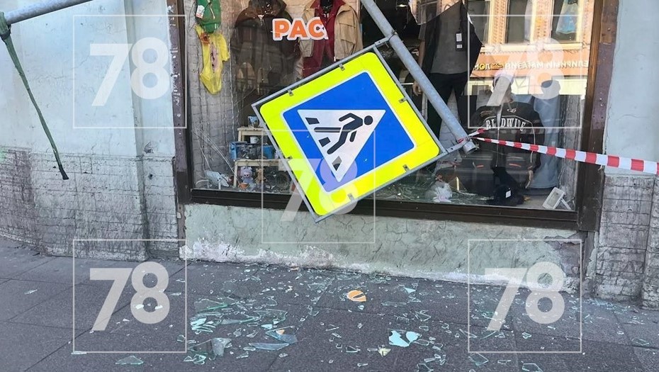 Петербуржцы жалуются на сильный ветер, который сносит указатели и деревья