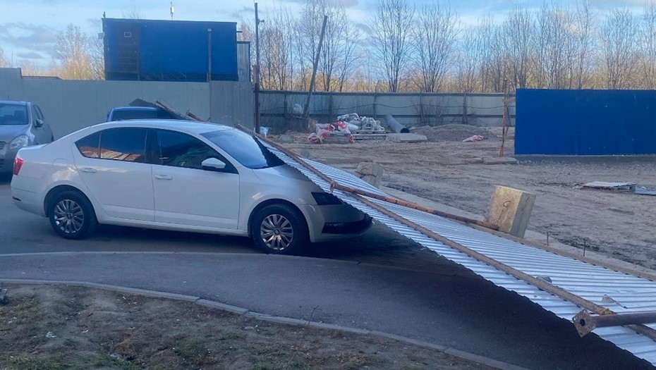 Петербуржцы жалуются на сильный ветер, который сносит указатели и деревья