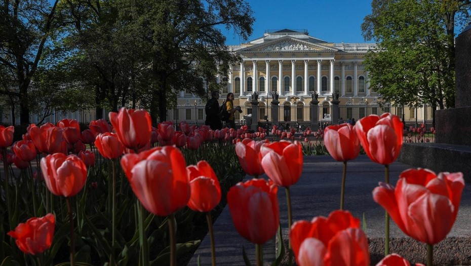 Тюльпаны на площади Искусств перед Русским музеем в Петербурге. Тюльпаны на площади Искусств перед Русским музеем в Петербурге.
