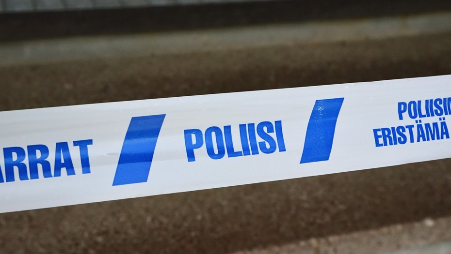 Финская полиция обезвредила упавший в лесу беспилотник