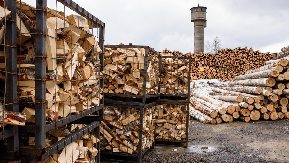Смольный выделит субсидии поставщикам населению угля и дров. Смольный выделит субсидии поставщикам населению угля и дров.