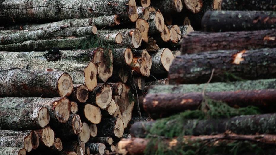 Работники финского лесопромышленного концерна пошли в суд из-за невыплаты зарплат. Работники финского лесопромышленного концерна пошли в суд из-за невыплаты зарплат.