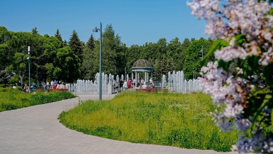 Любашинский сад в Калининском районе Петербурга