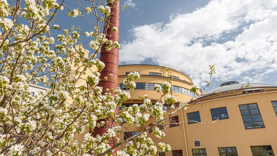 Фестиваль на Левашовском хлебозаводе