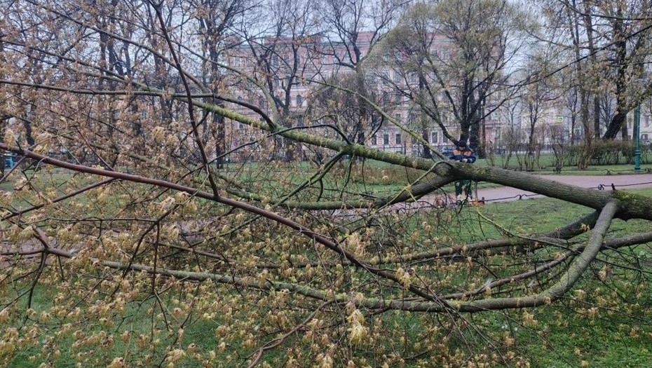 Последствия непогоды в Петербурге 26 апреля.