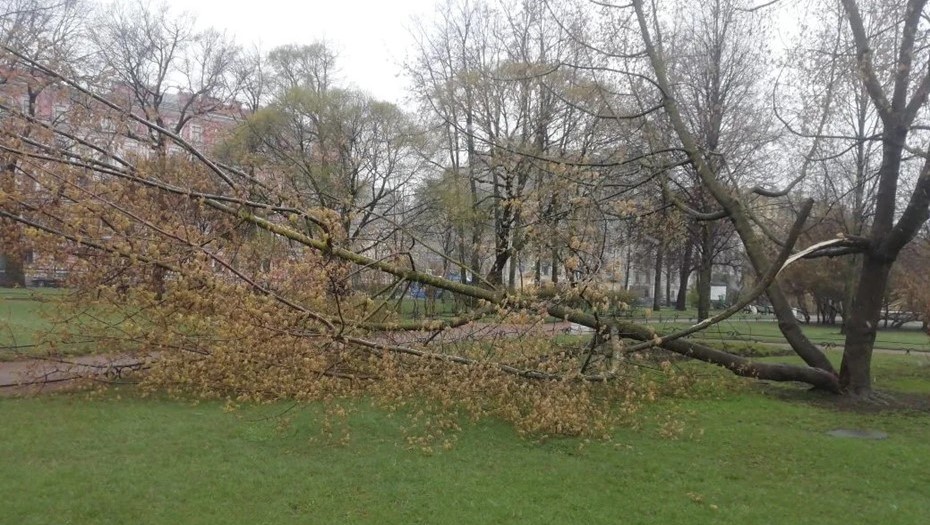 Последствия непогоды в Петербурге 26 апреля.