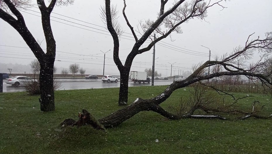 Последствия непогоды в Петербурге 26 апреля.