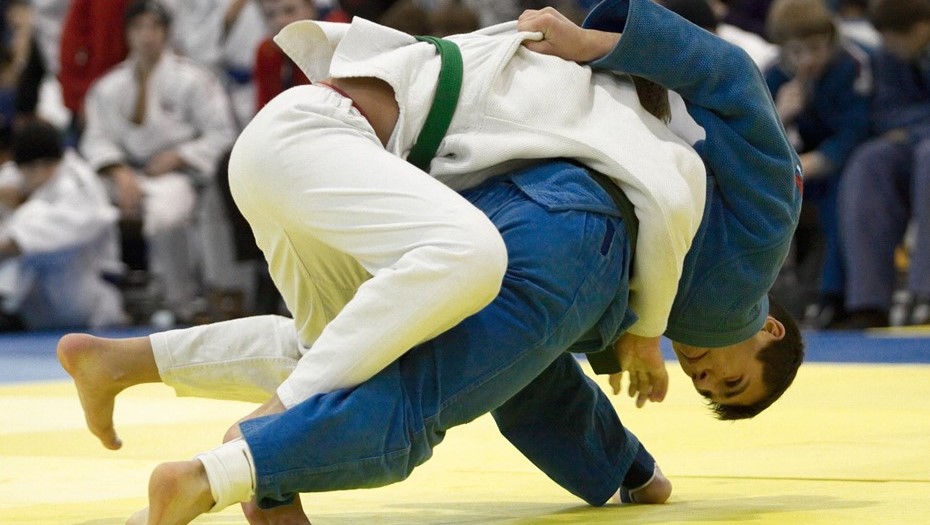 XX Международный Турнир по дзюдо "Золотой Лист" 
